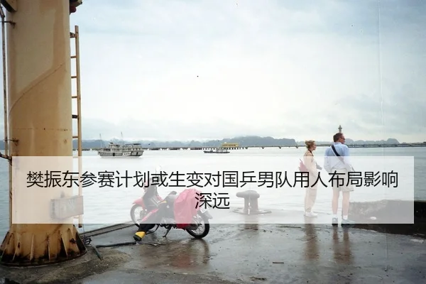 樊振东参赛计划或生变对国乒男队用人布局影响深远
