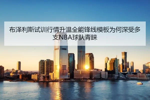 布泽利斯试训行情升温全能锋线模板为何深受多支NBA球队青睐
