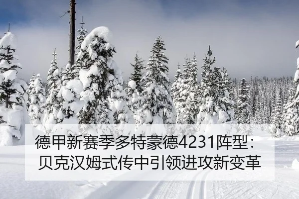 de-jia-xin-sai-ji-duo-te-meng-de-zhen-xing-bei-ke-han-mu-shi-chuan-zhong-yin-ling-jin-gong-xin-bian-ge-2-257.jpg