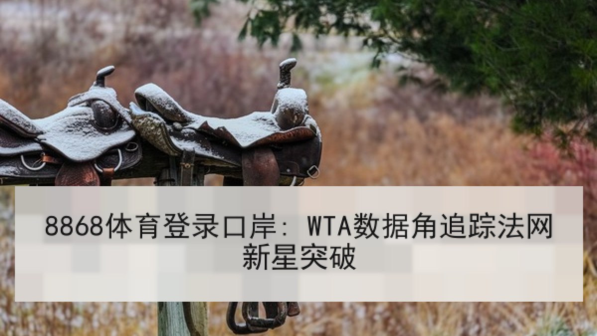 8868体育登录口岸: WTA数据角追踪法网新星突破