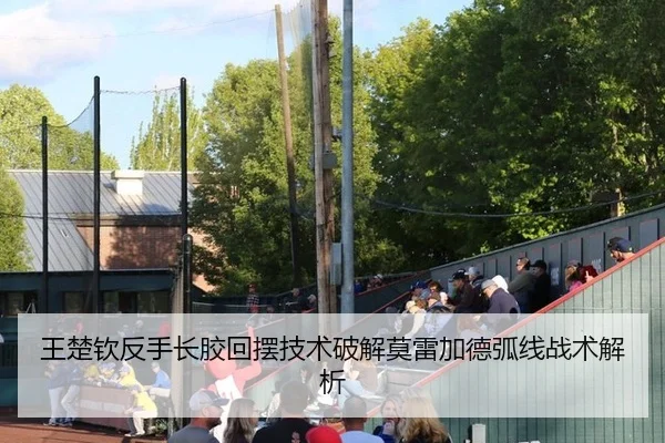王楚钦反手长胶回摆技术破解莫雷加德弧线战术解析