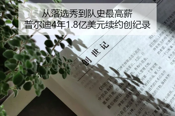 从落选秀到队史最高薪 普尔迪4年1.8亿美元续约创纪录